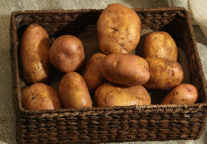Увеличить урожай картофеля