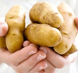 Картофель. Как хранить картофел