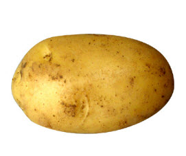 Полезные и лечебные (целебные) свойства картофеля