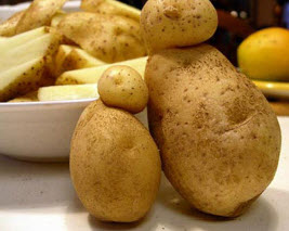 второй урожай картофеля