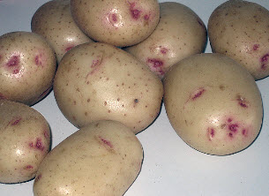 Cинеглазка картофель, Ранняя роза сорты
