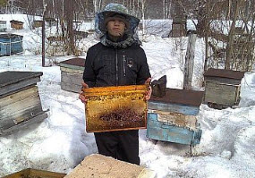 Как правильно подготовить пчел к зимовке - 2 часть