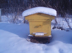 Как подготовить пчел к зимовке, Зимовка пчел