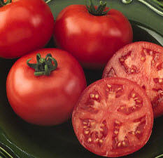 Как правильно собирать томаты