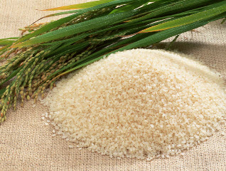 Простые и вкусные блюда из риса