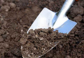 Отдых для почвы или почему устает почва