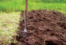Как сделать почву плодородной?